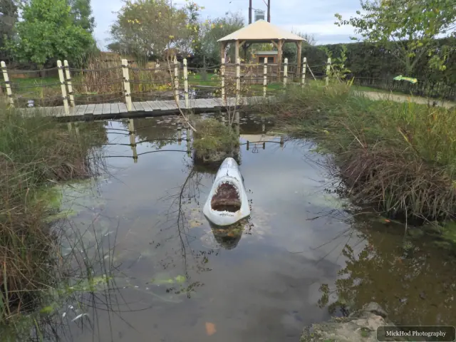 A small pond and a wooden shelter are visible in the garden enclosure.