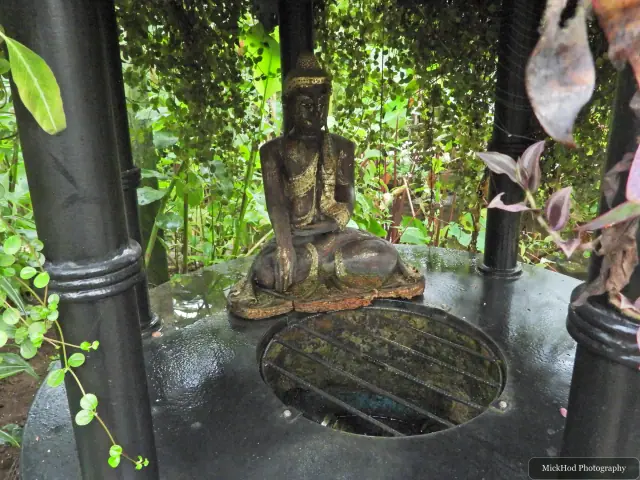 A seated Buddha statue stands among the tropical plants beside a small pond.