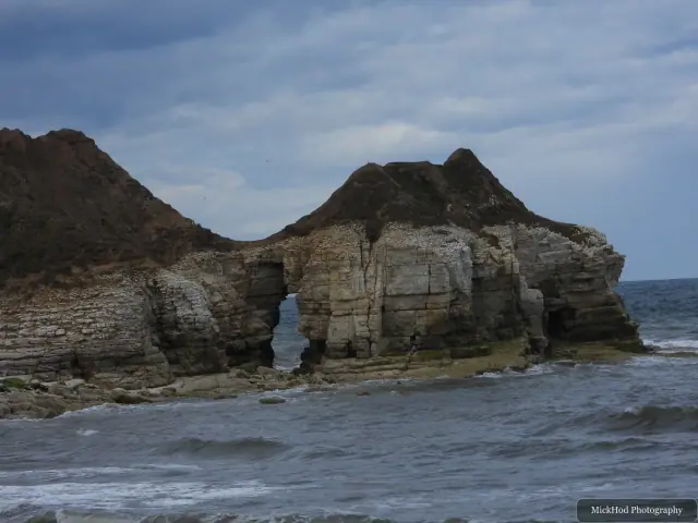 Pale chalk layers form the cliff face at Bempton Cliffs.