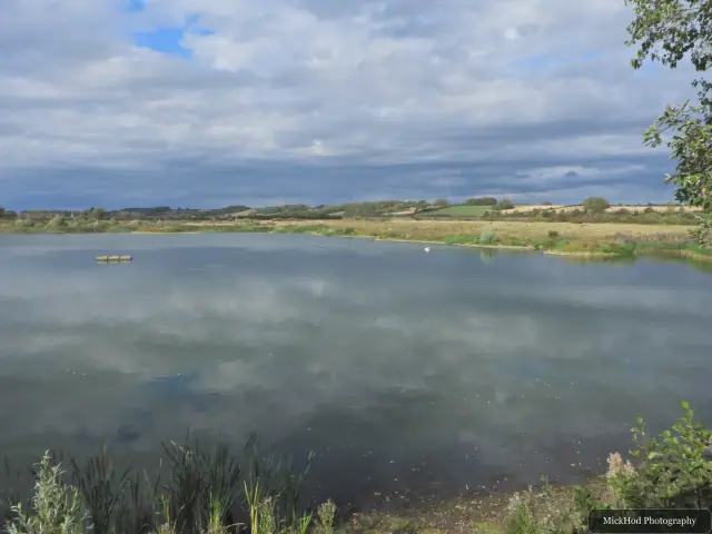 A broad view across the wetland pool towards the fields and low hills beyond.