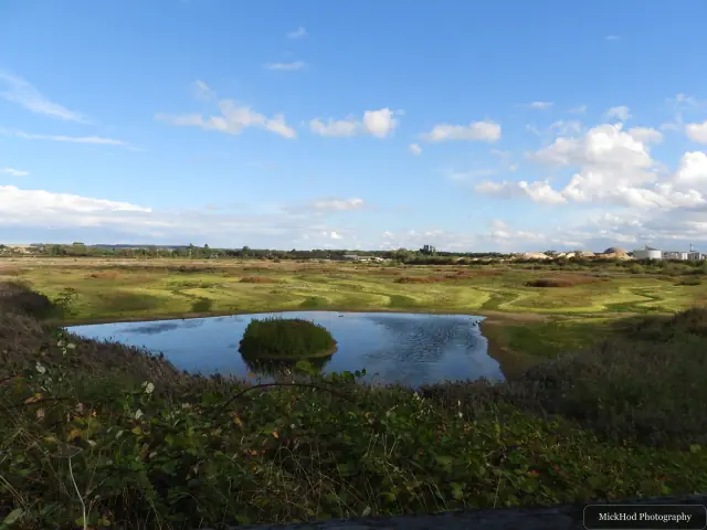 A wide landscape view across the wetland pools and surrounding green fields.