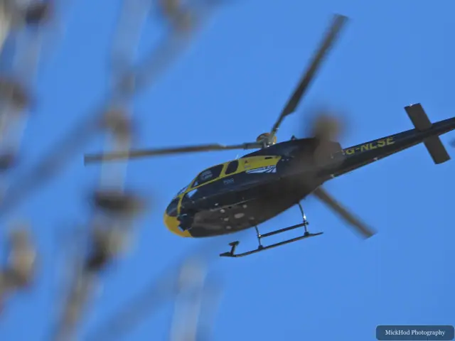 A yellow-and-black helicopter passes through the same open airspace as the surrounding birds, crossing a clear blue sky.
