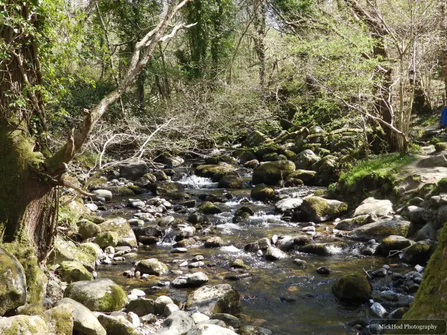 A view from Aber Falls, photographed during the visit, capturing the surrounding scenery and details.