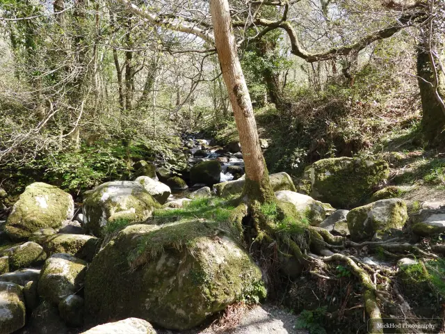 A view from Aber Falls, photographed during the visit, capturing the surrounding scenery and details.