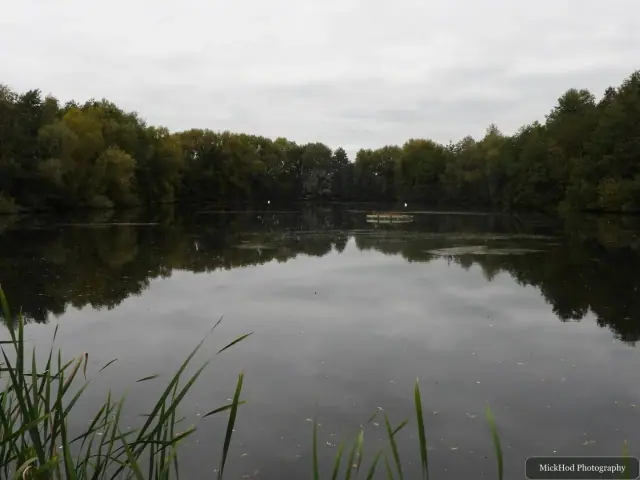 Nature photograph 1