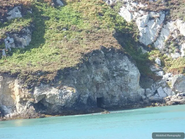 Nature photograph 20