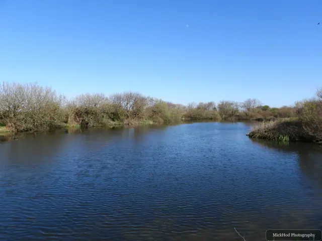 A view from Breakwater Country Park, photographed during the visit, capturing the surrounding scenery and details.