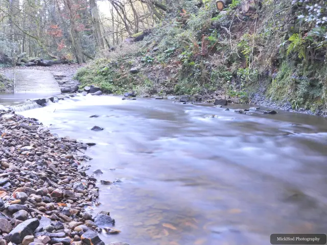 A shallow stream winds through the rocky, leaf-covered woodland channel.