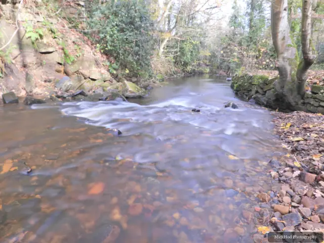 The stream flows between steep, wooded banks scattered with autumn leaves.