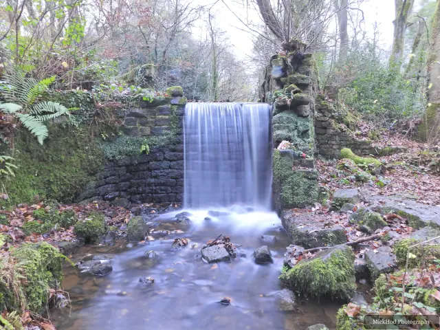 Water spills over Havelock Dam into the stream below, surrounded by woodland.