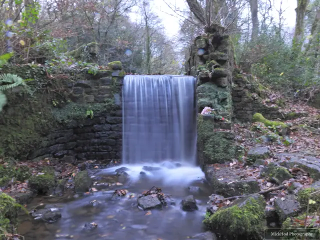 A wider view of the waterfall at Havelock Dam and the stream beneath it.