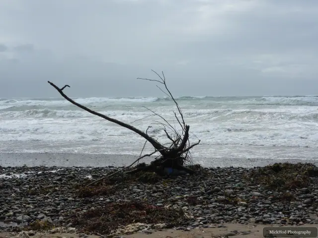 A view from Traeth Llanddwyn, photographed during the visit, capturing the surrounding scenery and details.