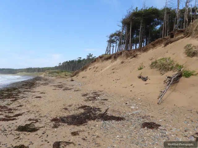 A view from Traeth Llandwyn, photographed during the visit, capturing the surrounding scenery and details.