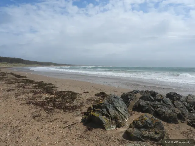 A view from Traeth Llandwyn, photographed during the visit, capturing the surrounding scenery and details.