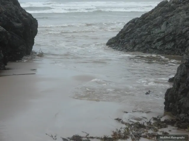 A view from Traeth Llandwyn, photographed during the visit, capturing the surrounding scenery and details.