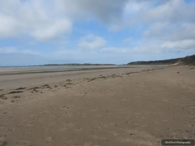 A view from Traeth Llandwyn, photographed during the visit, capturing the surrounding scenery and details.