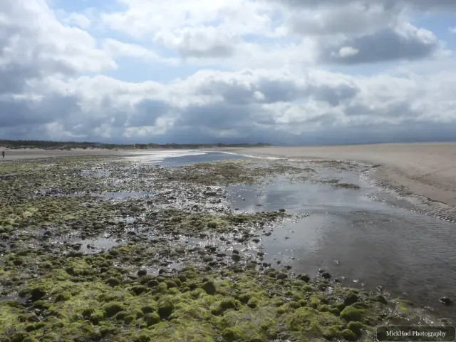 A view from Traeth Llandwyn, photographed during the visit, capturing the surrounding scenery and details.