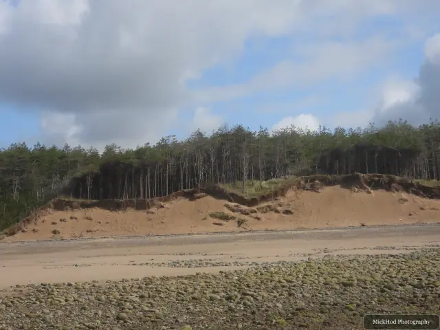 A view from Traeth Llandwyn, photographed during the visit, capturing the surrounding scenery and details.