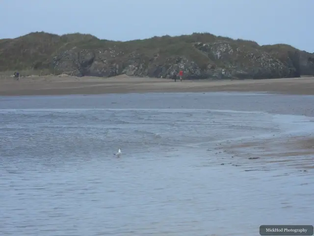 A view from Traeth Llandwyn, photographed during the visit, capturing the surrounding scenery and details.