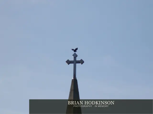 Photograph from Birds of 2014