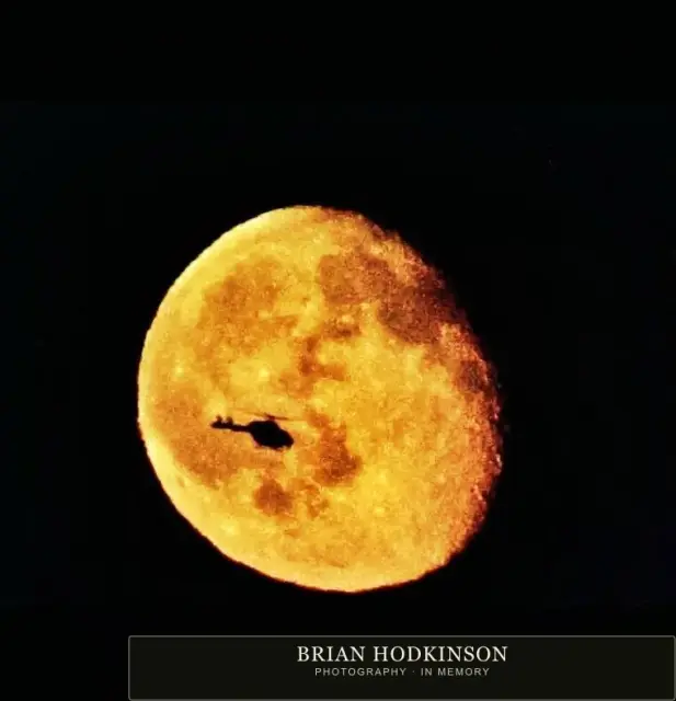 Photograph from Birds of 2014