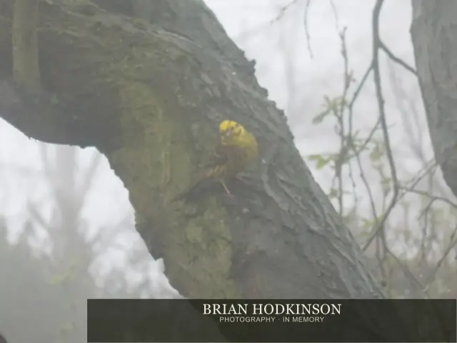Photograph from Birds of 2014