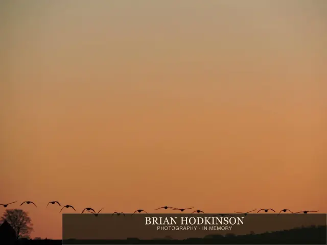 Photograph from Birds of 2014