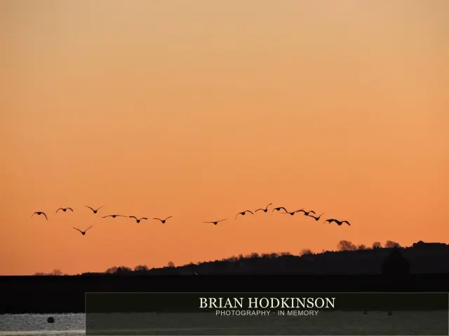 Photograph from Birds of 2014