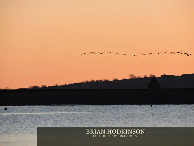 Photograph from Birds of 2014