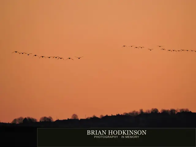 Photograph from Birds of 2014