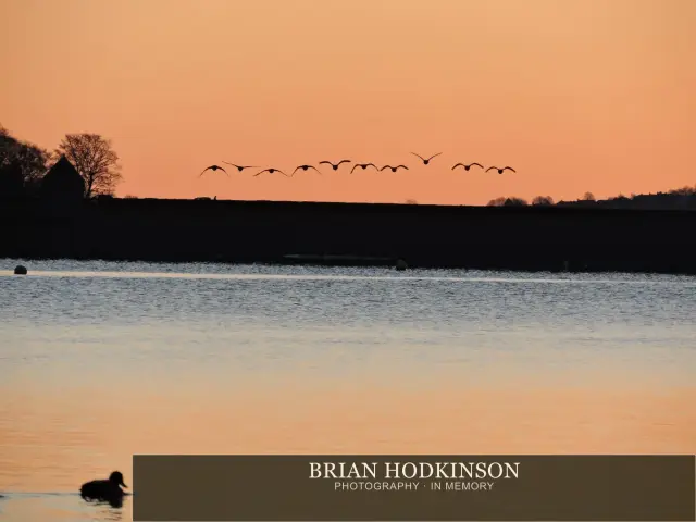 Photograph from Birds of 2014