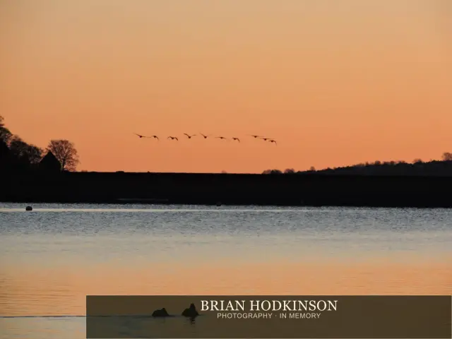 Photograph from Birds of 2014