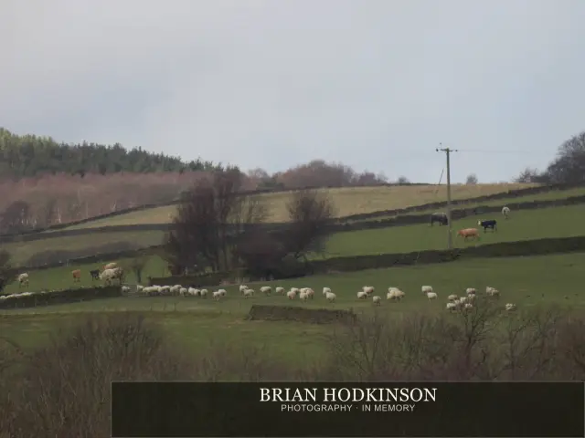 Photograph from Bradfield Highs and Lows!, early spring morning, possibly followe