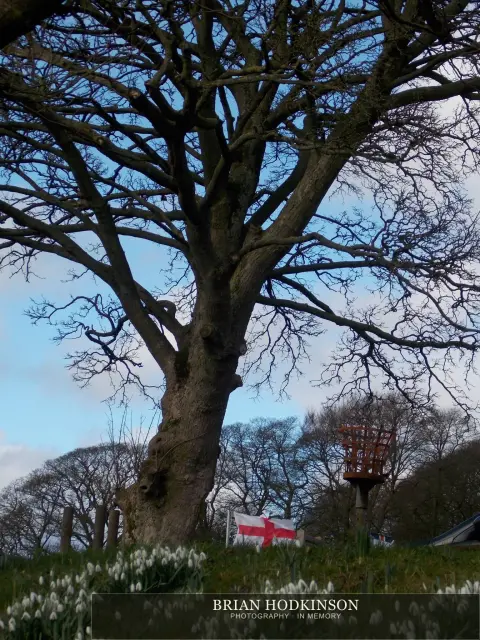 Photograph from Bradfield Highs and Lows!, early spring morning, possibly followe