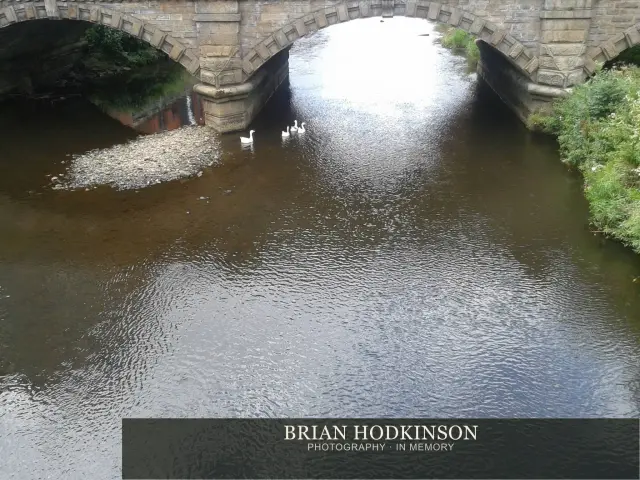 Photograph from my sheffield
