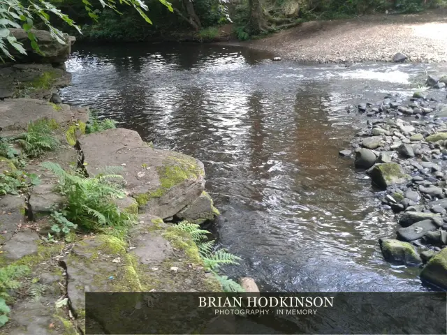 Photograph from my sheffield