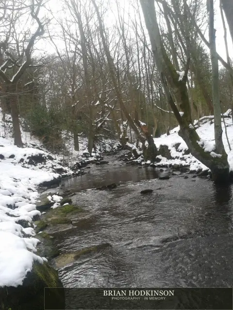 Photograph from my sheffield