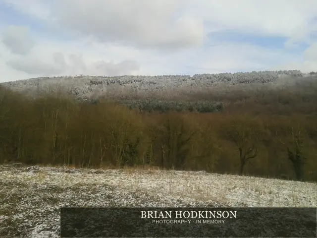 Photograph from my sheffield