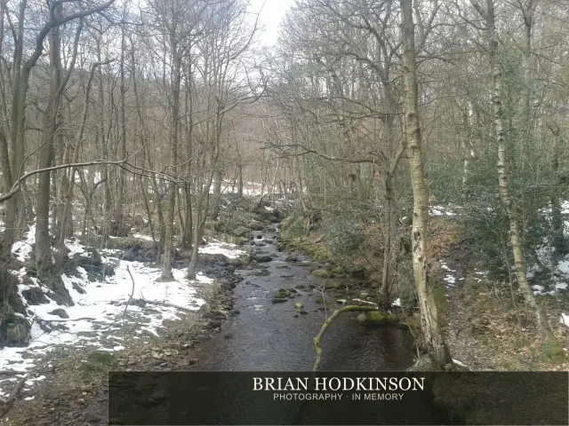 Photograph from my sheffield
