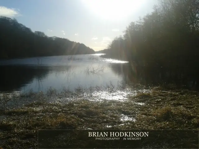Photograph from my sheffield