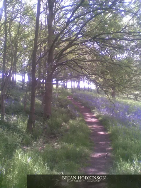 Photograph from my sheffield
