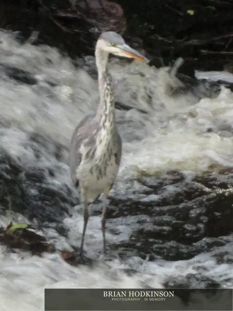 Photograph from my sheffield