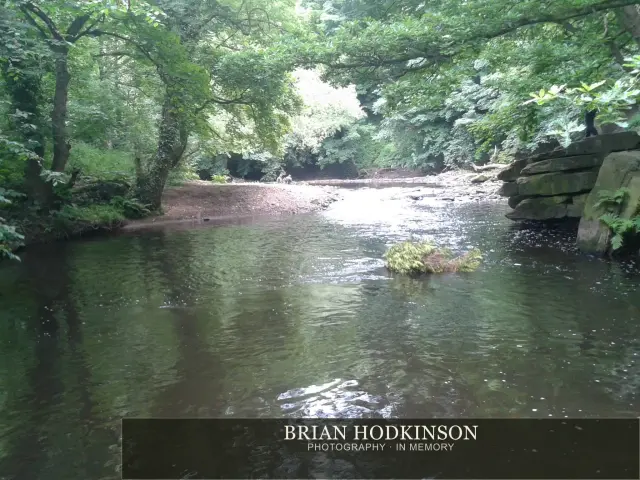 Photograph from my sheffield