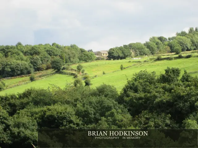 Photograph from my sheffield