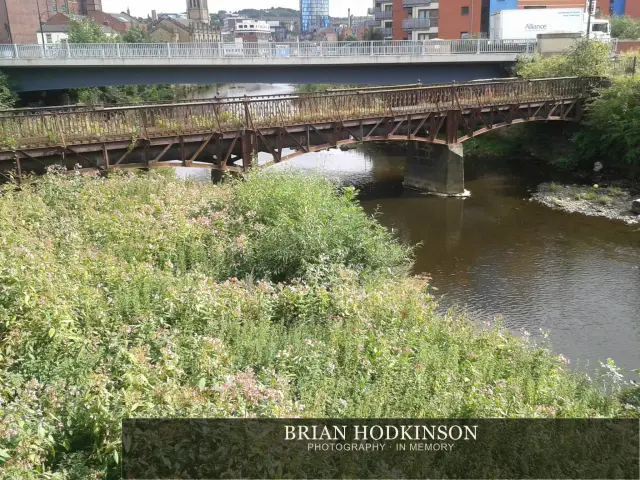 Photograph from my sheffield