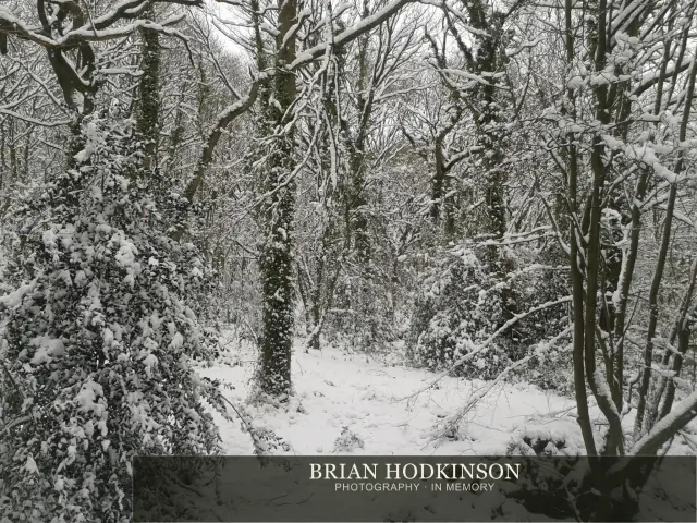 Photograph from my sheffield