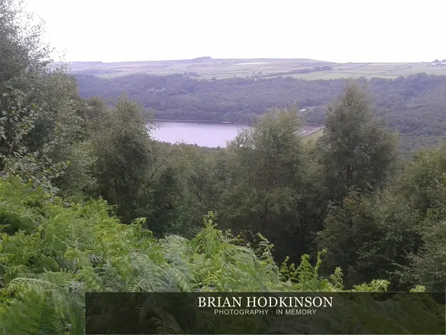 Photograph from my sheffield