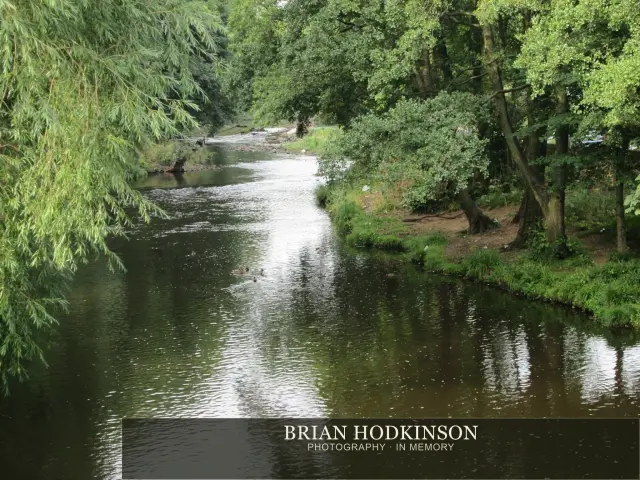 Photograph from my sheffield
