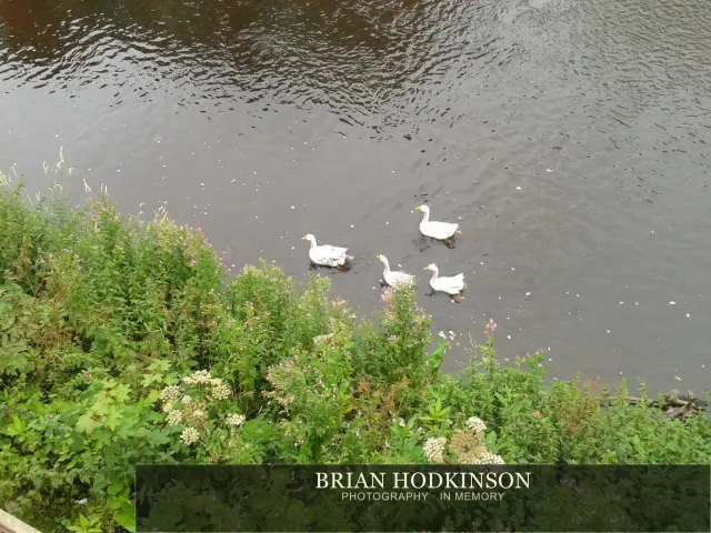 Photograph from my sheffield