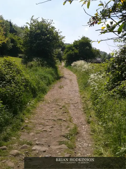Photograph from my sheffield